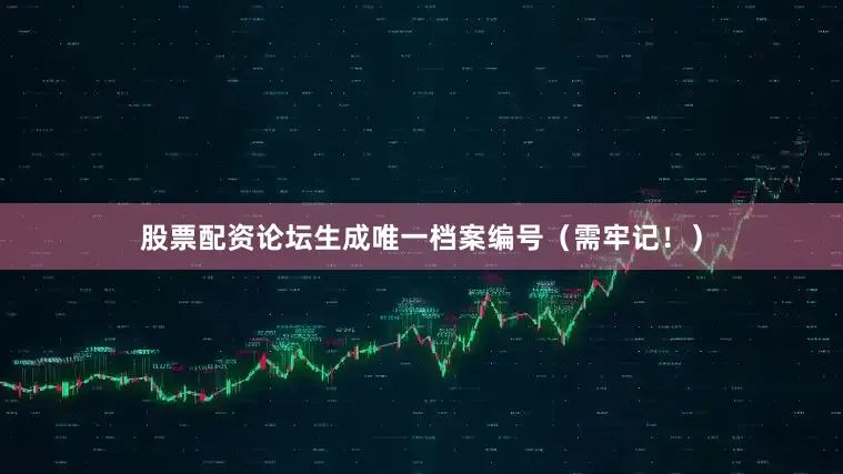 股票配资论坛生成唯一档案编号（需牢记！）