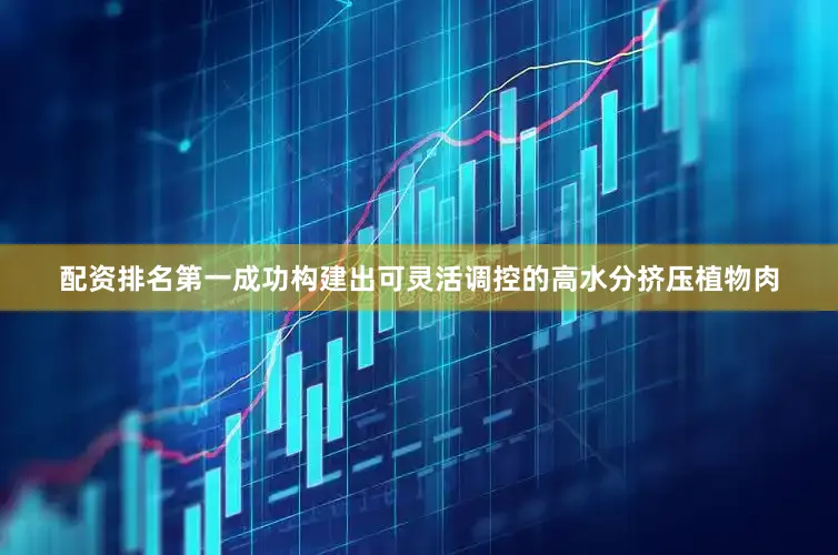 配资排名第一成功构建出可灵活调控的高水分挤压植物肉