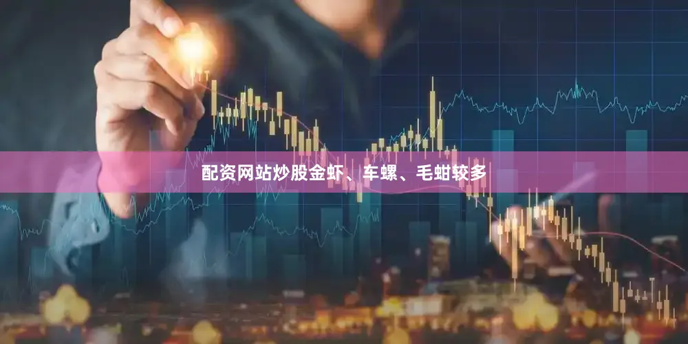 配资网站炒股金虾、车螺、毛蚶较多