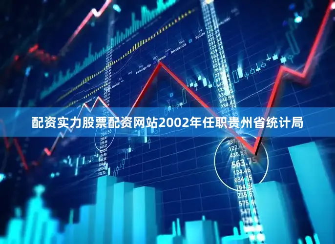 配资实力股票配资网站2002年任职贵州省统计局