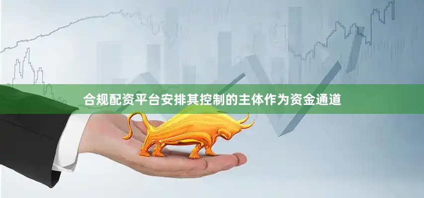 合规配资平台安排其控制的主体作为资金通道