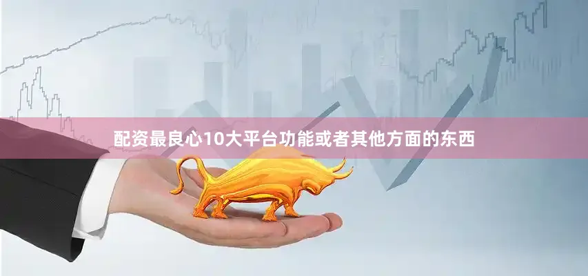 配资最良心10大平台功能或者其他方面的东西