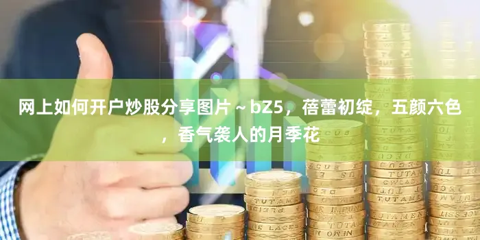 网上如何开户炒股分享图片～bZ5，蓓蕾初绽，五颜六色，香气袭人的月季花