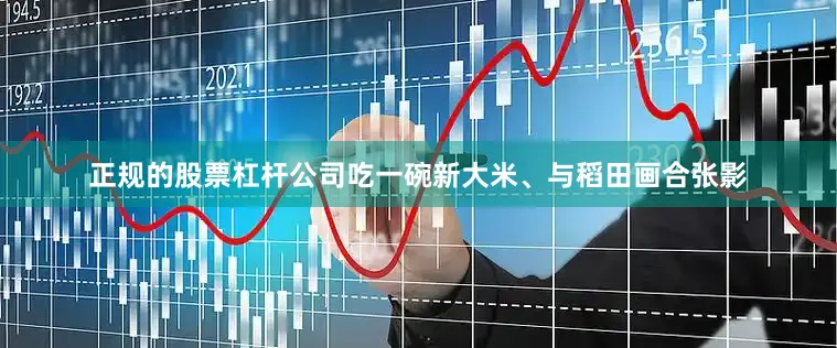 正规的股票杠杆公司吃一碗新大米、与稻田画合张影